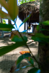Amerika, Karibik, Große Antillen, Dominikanische Republik, Cabarete, Frau sitzt auf einer Schaukel an der Beachbar des Natura Cabana Boutique Hotel & Spa Amerika, Karibik, Große Antillen, Dominikanische Republik, Cabarete, Frau sitzt auf einer Schaukel an der Beachbar des Natura Cabana Boutique Hotel & Spa